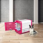 An industry first: Delta launches innovative solution for pet travel