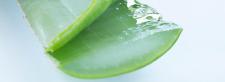 Santaverde Kosmetik auf Basis frischer Aloe Vera: vielseitig wirksam auch bei Hautkrankheiten