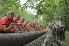 Wald bewegt !