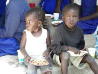 Neu aufgetauchter Schädling verschärft Hungersnot in Kenia