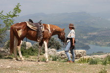 Westernreiten weltweit