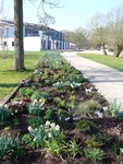 Deutsche Bundesumweltstiftung fördert die BUGA und die Schweriner Rudergesellschaft