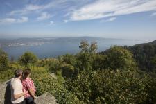 Frische Impulse vom westlichen Bodensee