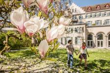 Frühlingsfrische Ostererlebnisse in Konstanz 2019