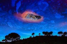 »Glanzlichter. Naturfotografien 2018« im Landesmuseum Hannover