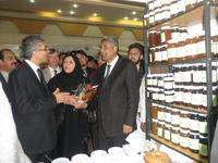 Afghanistan: „Frauengarten“ in Herat stößt bei Agrarmesse auf großes Interesse