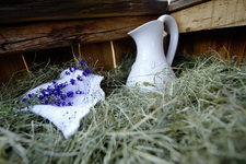 Wellness - im Advent wird's günstiger