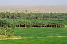 Bronzezeitliche Handelsrouten in Mesopotamien rekonstruiert