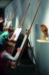 Letzte Chance für Wildlife Artists!