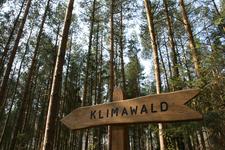Herbstpflanzaktionen in den Klimawäldern Fleesensee und Damerow lassen Klimawälder wachsen