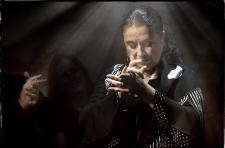 8. August Flamenco-Fiesta, 9. August Wolfgang Sörös