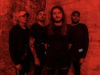 IN SEARCH OF SOLACE - debut new single, 'Survive'!