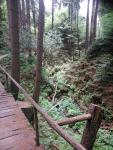 Rucksacktour im Rotkäppchenland