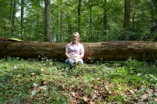 Forum Natur und Gesundheit: Der Wald bewegt...