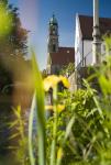 Amberg entspannt genießen