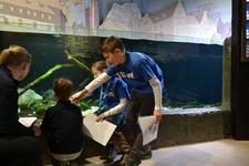 Junge Umweltschützer zählen Fische im SEA LIFE Konstanz