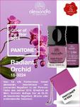 alessandro International präsentiert PANTONE Farbe "Radiant Orchid"