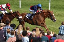 Baden Racing: Ashiana triumphiert im T.von Zastrow Stutenpreis am "Ladies Day"