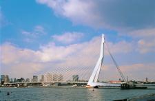 Kühe auf dem Wasser: Schwimmender Bauernhof in Rotterdam