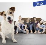TV-Premiere für Schlüter-BEKOTEC-THERM