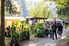 Pflanzen- und Kunsthandwerkermarkt im Wildpark Müden