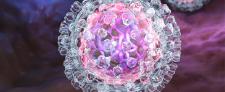 Hepatitis C-Viren erfolgreich ausschalten