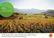 Der Weinjahrgang 2016 in der Pfalz: Winzer meistern ein Jahr mit großen Herausforderungen