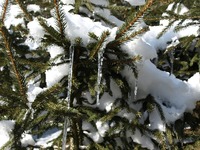 Wie wird das Wetter an Weihnachten 2009