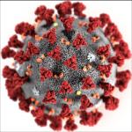 Coronavirus: Panikmache ist nicht gerechtfertigt