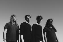 Young Mountain - Lost Tree