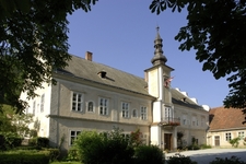 Weinverkostung Schifffahrtsmuseum Spitz/Donau