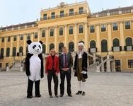 Zwei neue Kombitickets: Tiergarten und Schloss Schönbrunn zum Spitzenpreis