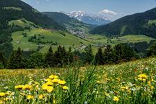 Die Kraft des Tiroler Bergfrühlings in der Wildschönau genießen