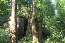 NATURDENKMAL Die Teufelskanzel bei Grebenhain-Ilbeshausen