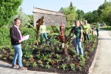 Sommerblüher werden jetzt gepflanzt