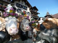 45. Bernisch Kantonales Jodlerfestival