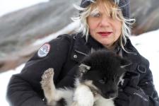 Gefrorene Herzen: Grönlands traurige Schlittenhunde