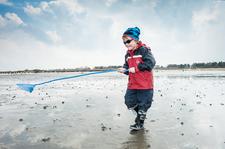Zu Ostern „Nur das Gelbe vom Ei“ an Nord- und Ostsee