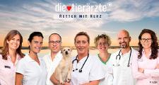 DIE TIERÄRZTE - RETTER MIT HERZ: Neue Folgen, neue Regionen, neue Behandlungsmethoden