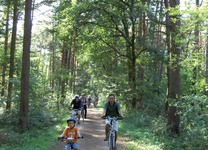 2-Land: Radeln im Naturpark Maas- Schwalm-Nette
