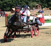 WM Einspänner Pratoni del Vivaro (ITA) : Rudi Pirhofer (OÖ) und Isidor Weber holen BRONZEMEDAILLE im TEAM und Top Ten Plätze im Einzel für Österreich