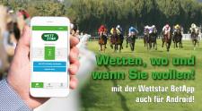 Pferdewetten online erleben - mobil uneingeschränkt surfen