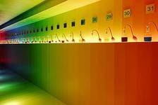 Im Rausch der Farben
