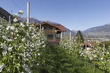 Bauernhofurlaub ohne Stallgeruch