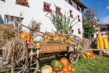 Der Herbst ruft