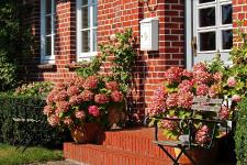 Heizung im Sommer: Darauf sollten Sie achten