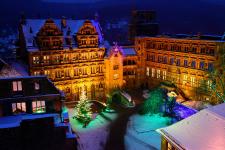 Der Schlossgarten leuchtet: Adventsaktion mit illuminierten Weihnachtsbäumen