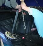 Besuch vom Doc im Großaquarium SEA LIFE Timmendorfer Strand