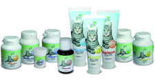 Rundum vitale Katzen