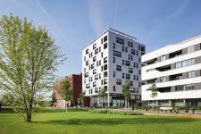 Hoch hinaus